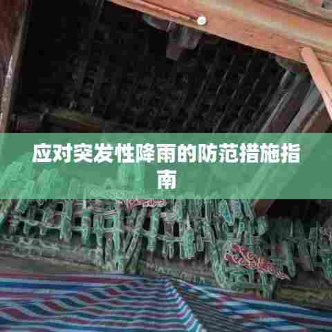 应对突发性降雨的防范措施指南