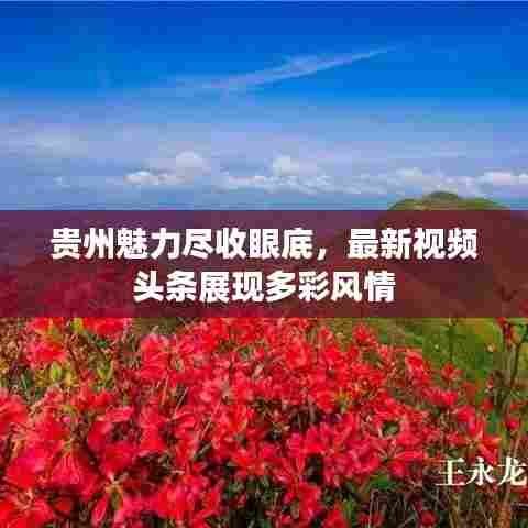 贵州魅力尽收眼底,最新视频头条展现多彩风情