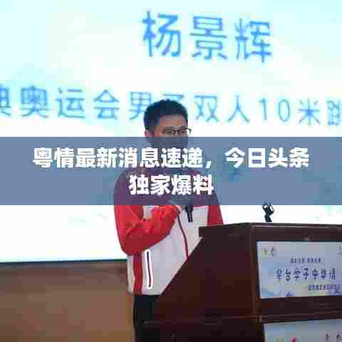 粤情最新消息速递，今日头条独家爆料