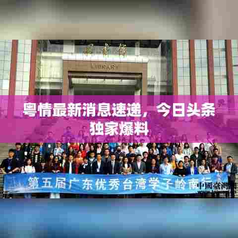 粤情最新消息速递,今日头条独家爆料