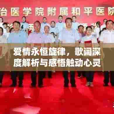 爱情永恒旋律，歌词深度解析与感悟触动心灵