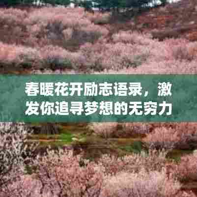 春暖花开励志语录，激发你追寻梦想的无穷力量！