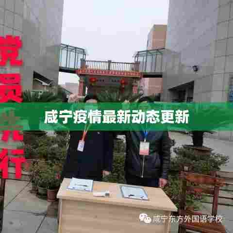 咸宁疫情最新动态更新