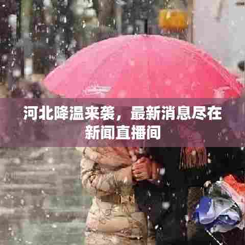 河北降温来袭，最新消息尽在新闻直播间