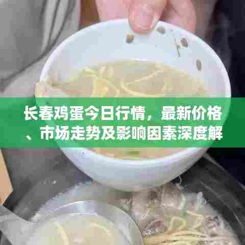 长春鸡蛋今日行情,最新价格、市场走势及影响因素深度解析