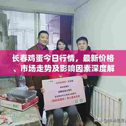 长春鸡蛋今日行情,最新价格、市场走势及影响因素深度解析