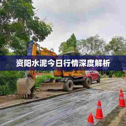 资阳水泥今日行情深度解析