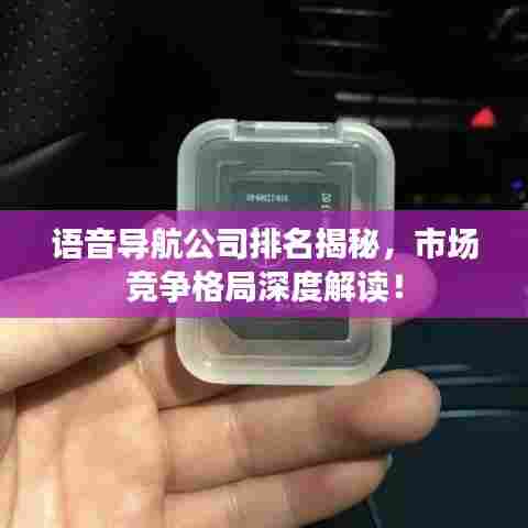 语音导航公司排名揭秘，市场竞争格局深度解读！