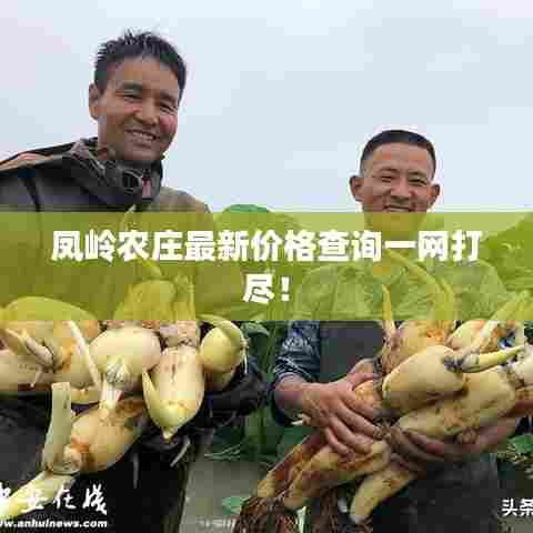 箪瓢陋巷 第5页