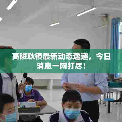 高陵耿镇最新动态速递，今日消息一网打尽！