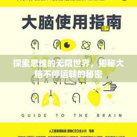 探索思维的无限世界,揭秘大脑不停运转的秘密