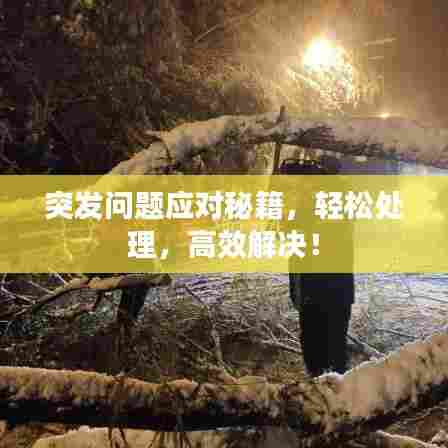 突发问题应对秘籍，轻松处理，高效解决！