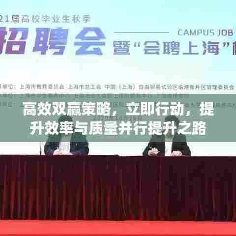 高效双赢策略，立即行动，提升效率与质量并行提升之路