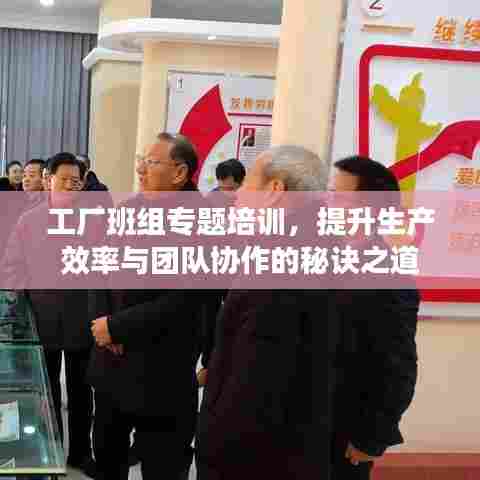 工厂班组专题培训,提升生产效率与团队协作的秘诀之道
