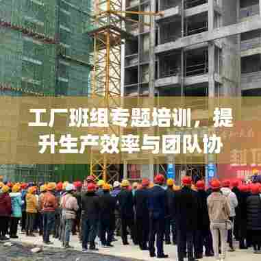 工厂班组专题培训,提升生产效率与团队协作的秘诀之道