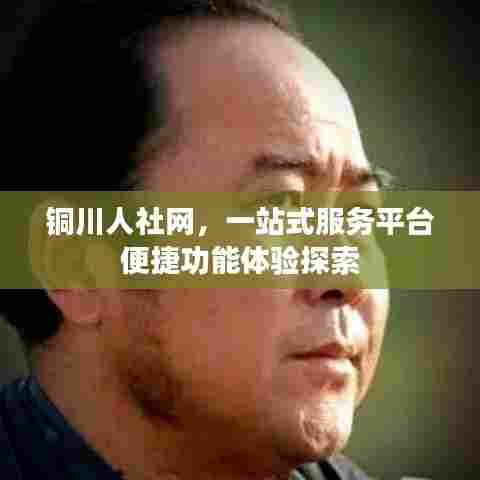 铜川人社网，一站式服务平台便捷功能体验探索