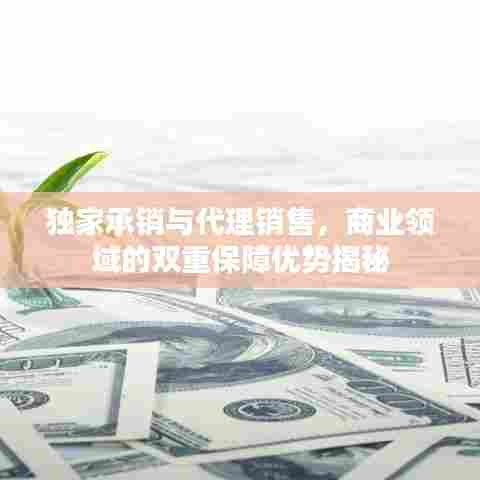 独家承销与代理销售，商业领域的双重保障优势揭秘