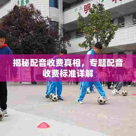 揭秘配音收费真相，专题配音收费标准详解