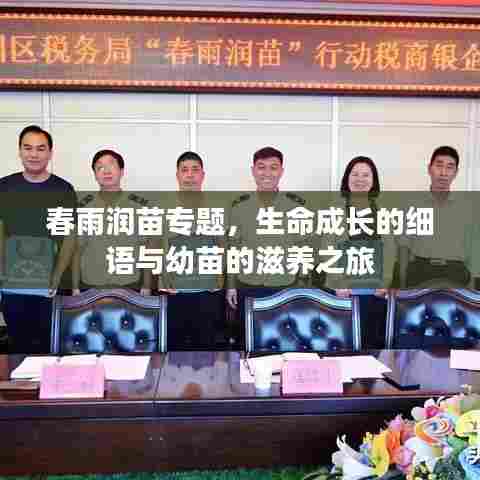春雨润苗专题，生命成长的细语与幼苗的滋养之旅
