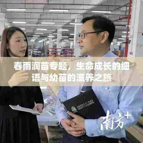 春雨润苗专题,生命成长的细语与幼苗的滋养之旅