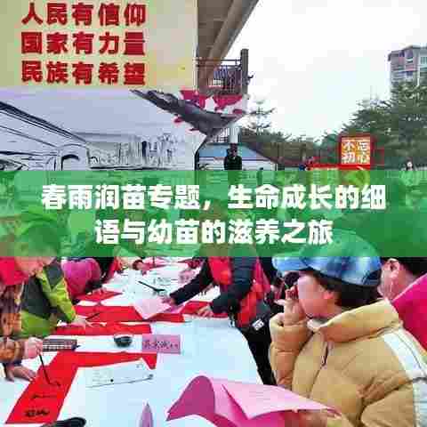 春雨润苗专题,生命成长的细语与幼苗的滋养之旅