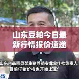 山东豆粕今日最新行情报价速递