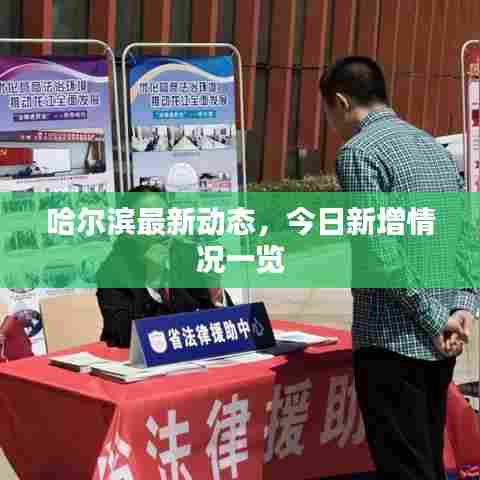 哈尔滨最新动态，今日新增情况一览