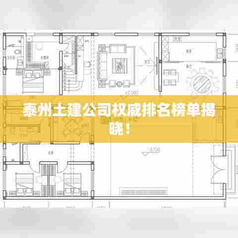 泰州土建公司权威排名榜单揭晓！