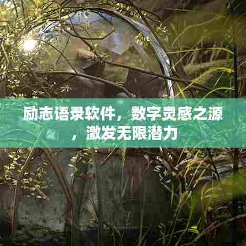 励志语录软件，数字灵感之源，激发无限潜力