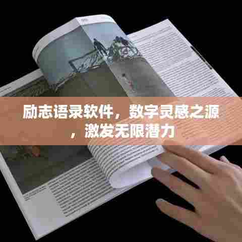 励志语录软件,数字灵感之源,激发无限潜力