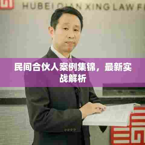 民间合伙人案例集锦,最新实战解析