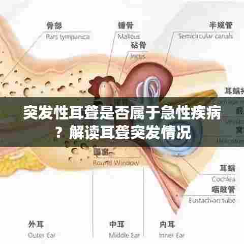 突发性耳聋是否属于急性疾病?解读耳聋突发情况