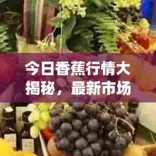 今日香蕉行情大揭秘，最新市场动态一网打尽