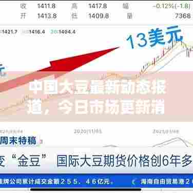 中国大豆最新动态报道,今日市场更新消息速递