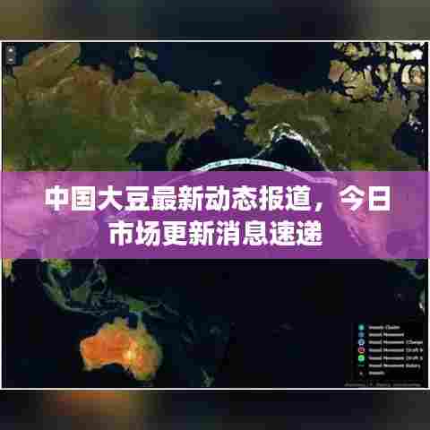 中国大豆最新动态报道,今日市场更新消息速递