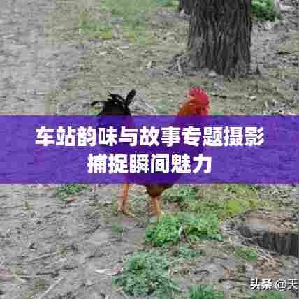 车站韵味与故事专题摄影捕捉瞬间魅力