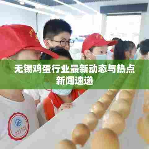 无锡鸡蛋行业最新动态与热点新闻速递