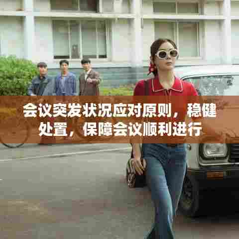 会议突发状况应对原则，稳健处置，保障会议顺利进行