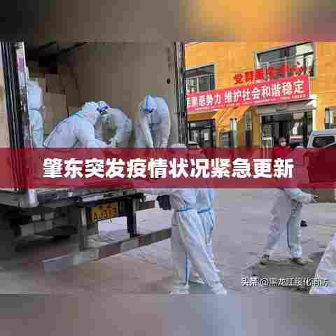 肇东突发疫情状况紧急更新