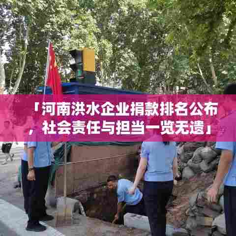 「河南洪水企业捐款排名公布，社会责任与担当一览无遗」