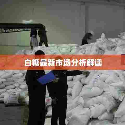 白糖最新市场分析解读