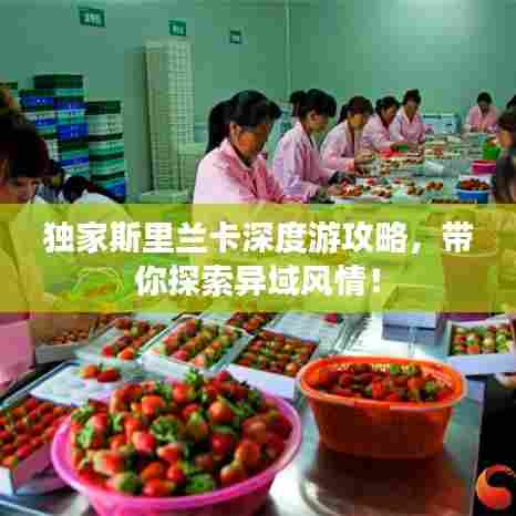 走马观花 第7页