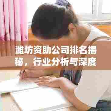 潍坊资助公司排名揭秘，行业分析与深度解读