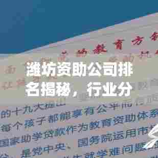潍坊资助公司排名揭秘,行业分析与深度解读
