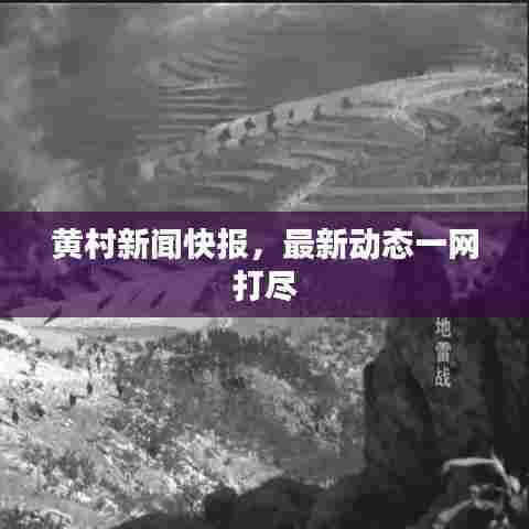 黄村新闻快报，最新动态一网打尽