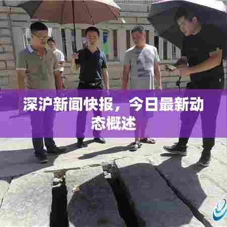 深沪新闻快报，今日最新动态概述