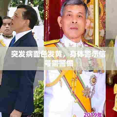 突发病面色发黄，身体警示信号需警惕