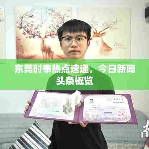 东莞时事热点速递，今日新闻头条概览