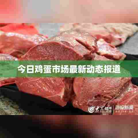 今日鸡蛋市场最新动态报道
