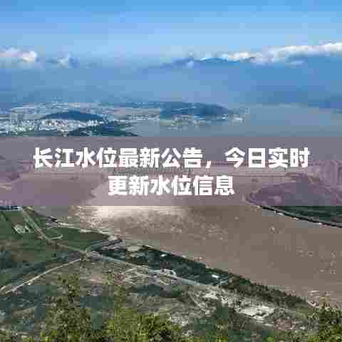 望其项背 第6页